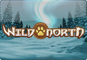 Новинка автомат Wild North от Play`n Go без вложений