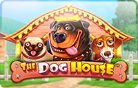The Dog House: играйте бесплатно без регистрации онлайн